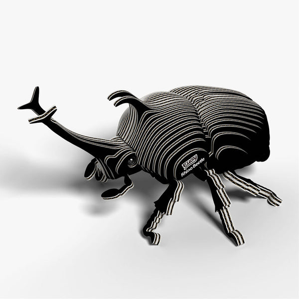 113 Rhinoceros beetle