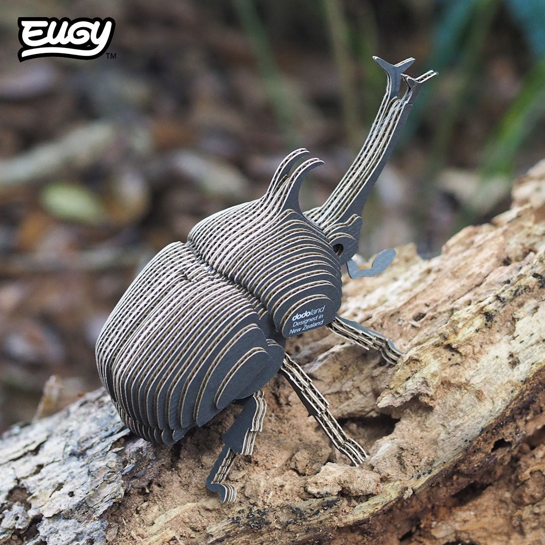 113 Rhino Beetle