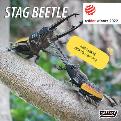 114 Stag Beetle