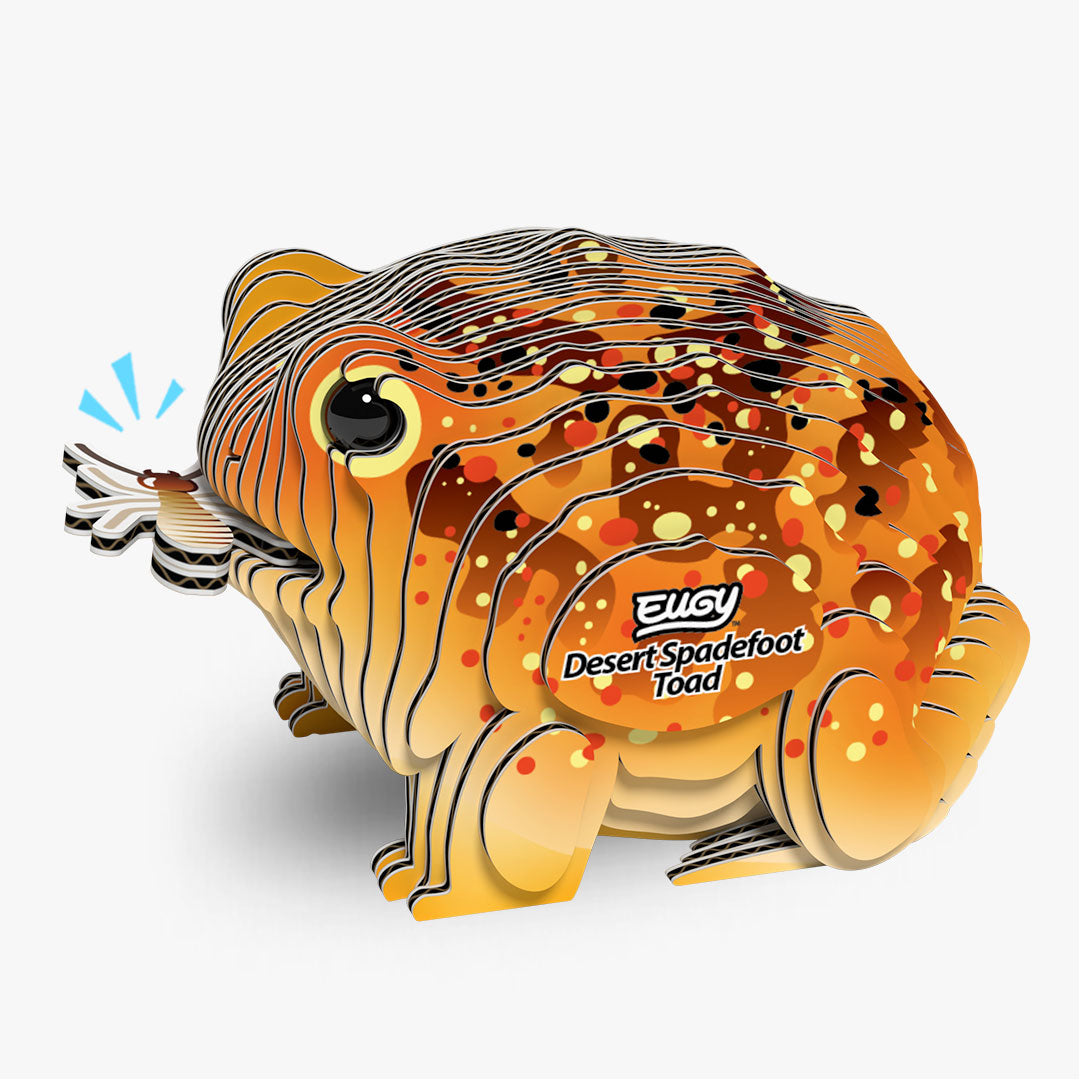 Maquette 3D EUGY 117 Crapaud du désert – vue 1