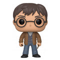 Pop! Harry Potter avec deux Baguettes (SE)