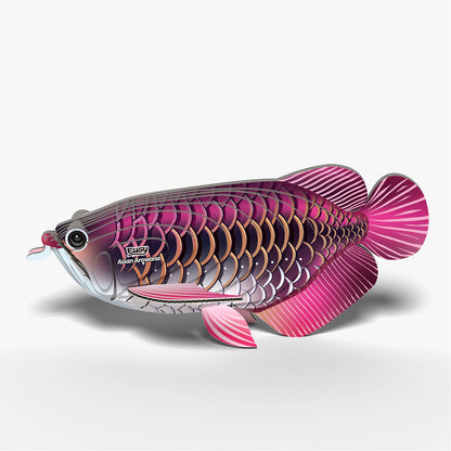 118 Poisson dragon