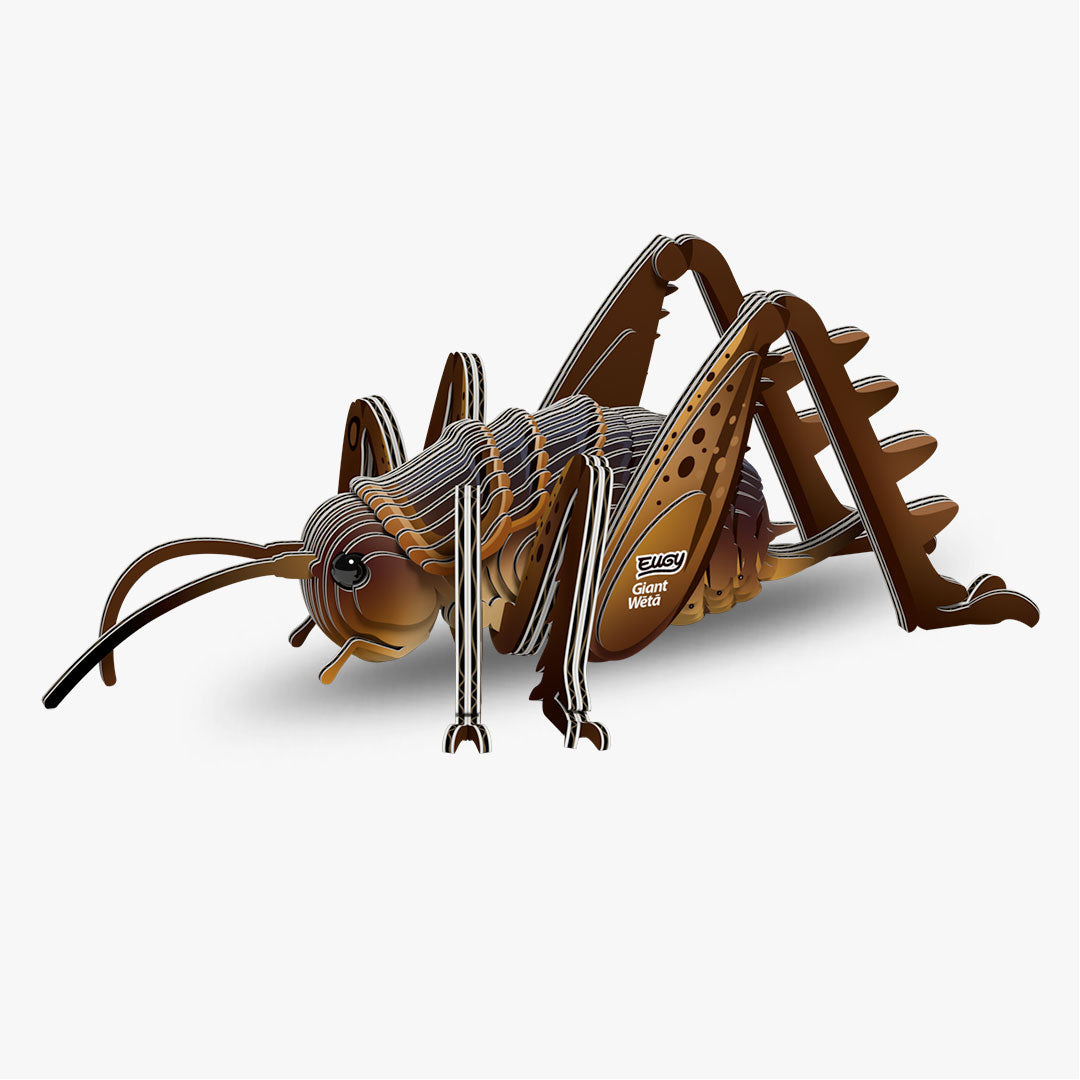 Maquette 3D EUGY 119 Weta géant – vue 1