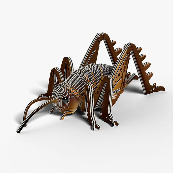119 Giant weta