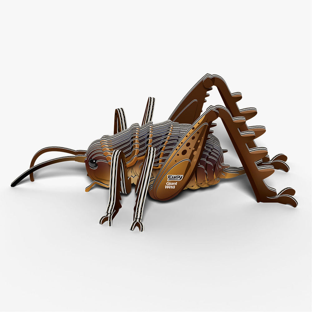 119 Reuzenweta