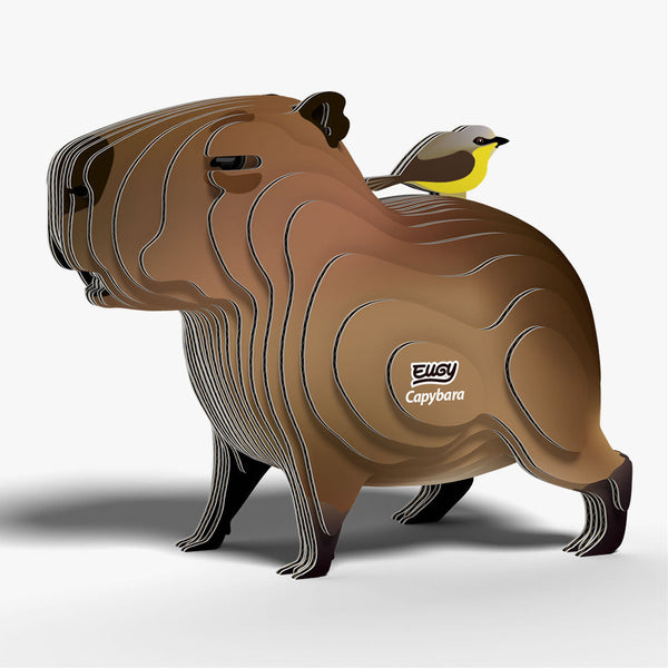 120 Capybaras