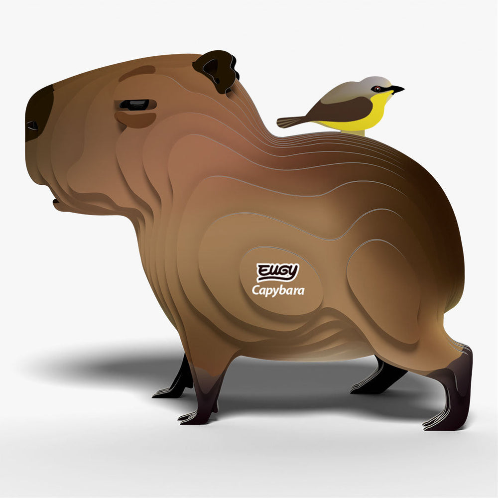 120 Capibara