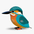 121 IJsvogel