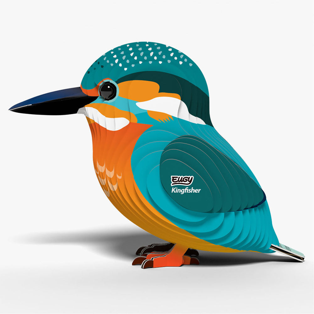121 IJsvogel