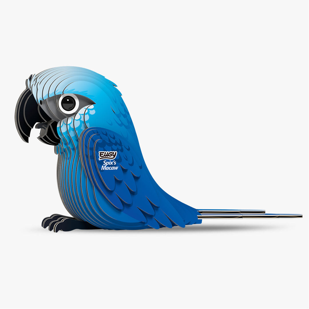 123 Spix's Macaw
