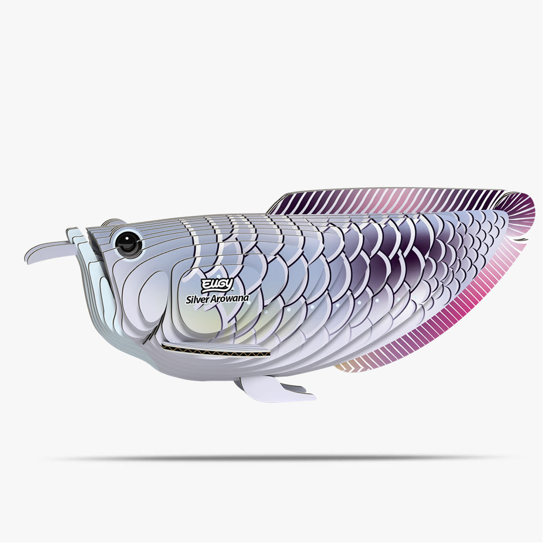 Maquette 3D EUGY 124 Arowana argenté – vue 1