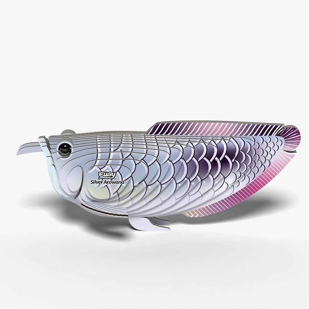 124 Silber-Arowana