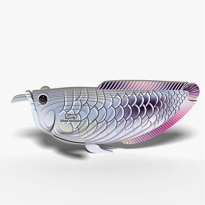 124 Arowana argenté