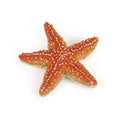 Figurine Etoile de mer