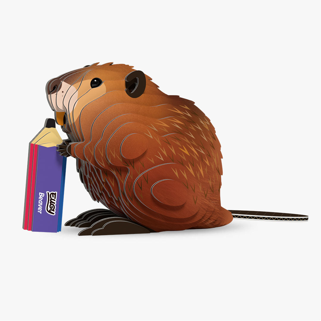 127 Beaver