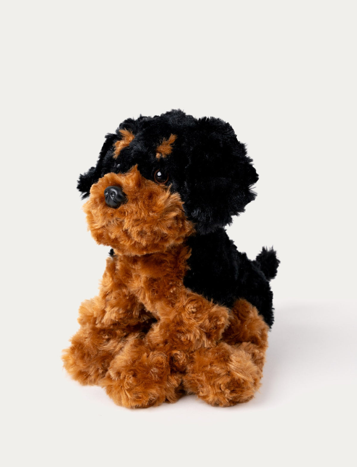 Peluche Chien Teddy Dogs – Brun