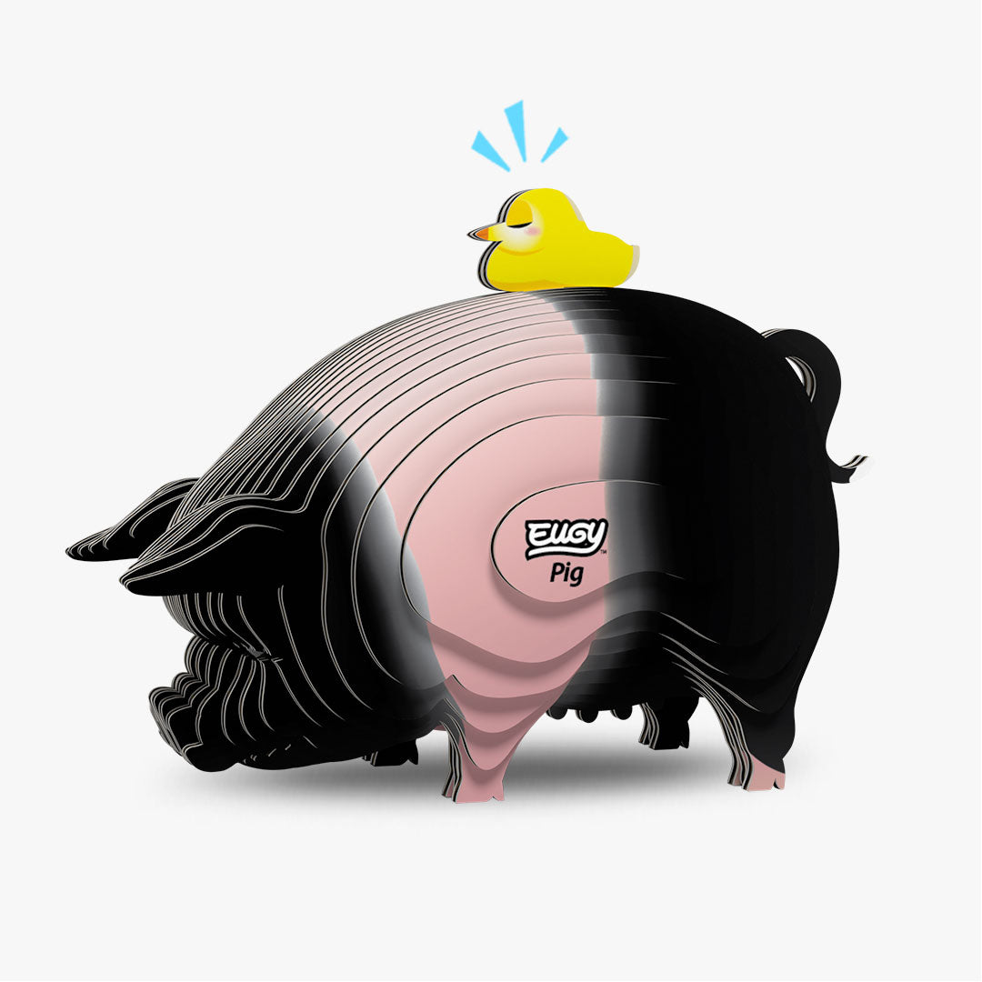 Eugy