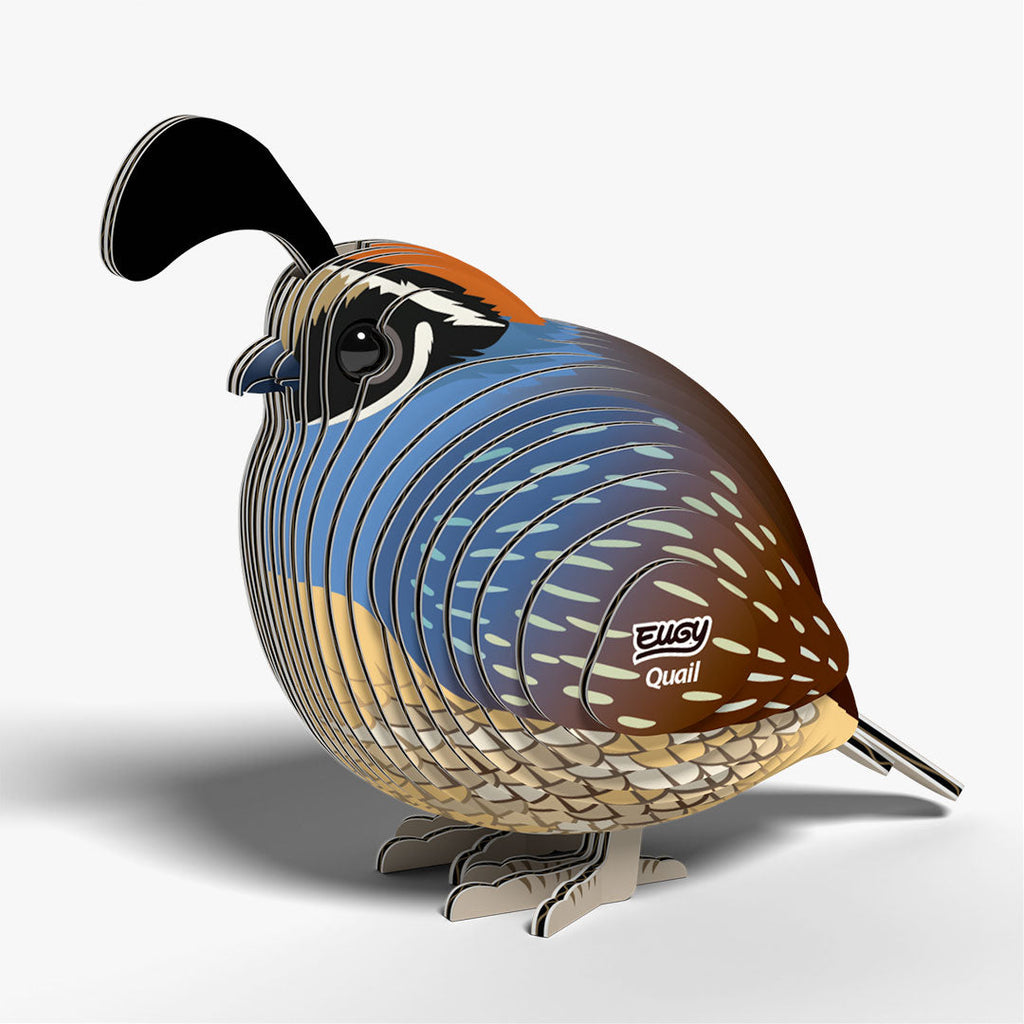 129 Quail