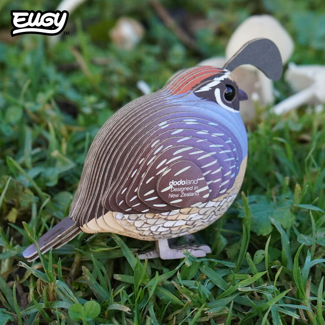 129 Quail