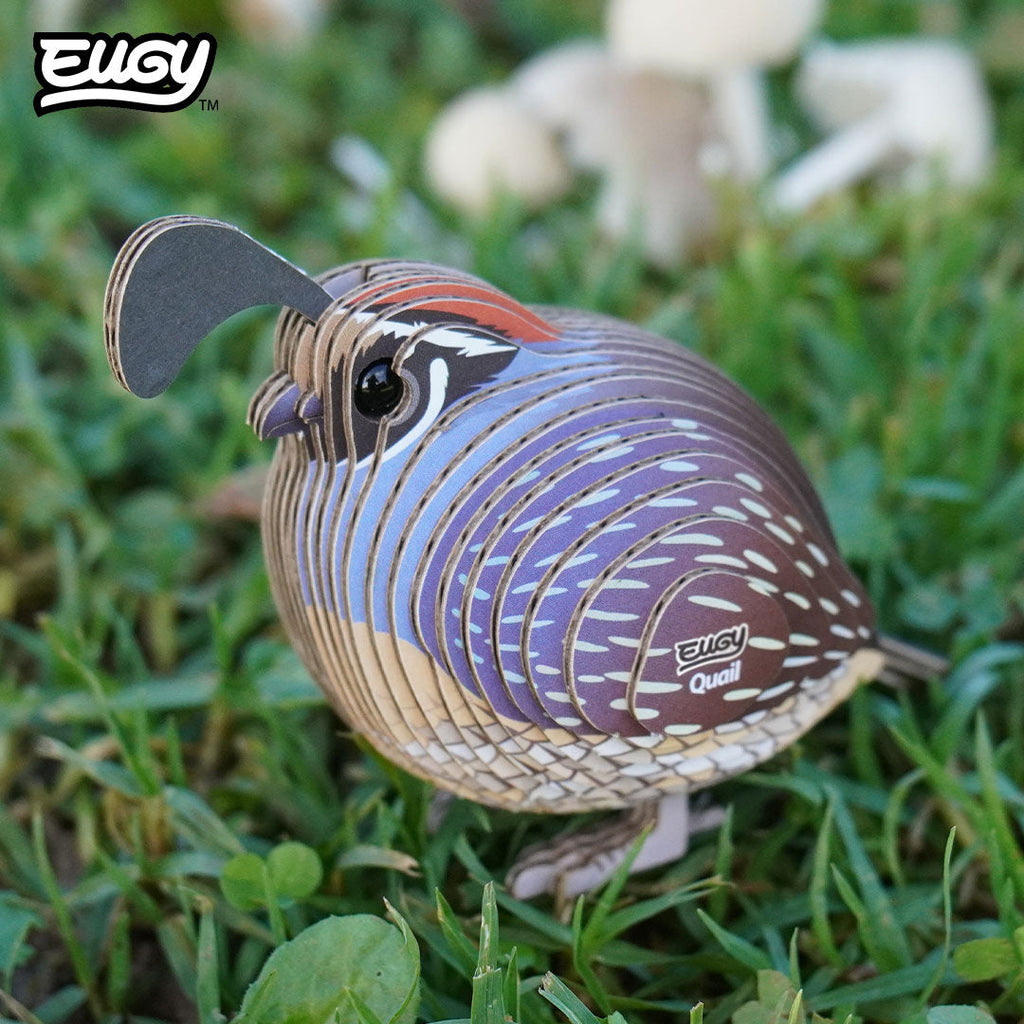 129 Quail