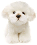 Peluche Chien Maltais