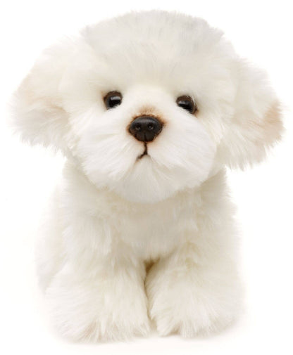 Chien maltais - 18 cm (hauteur) - peluche Uni Toys