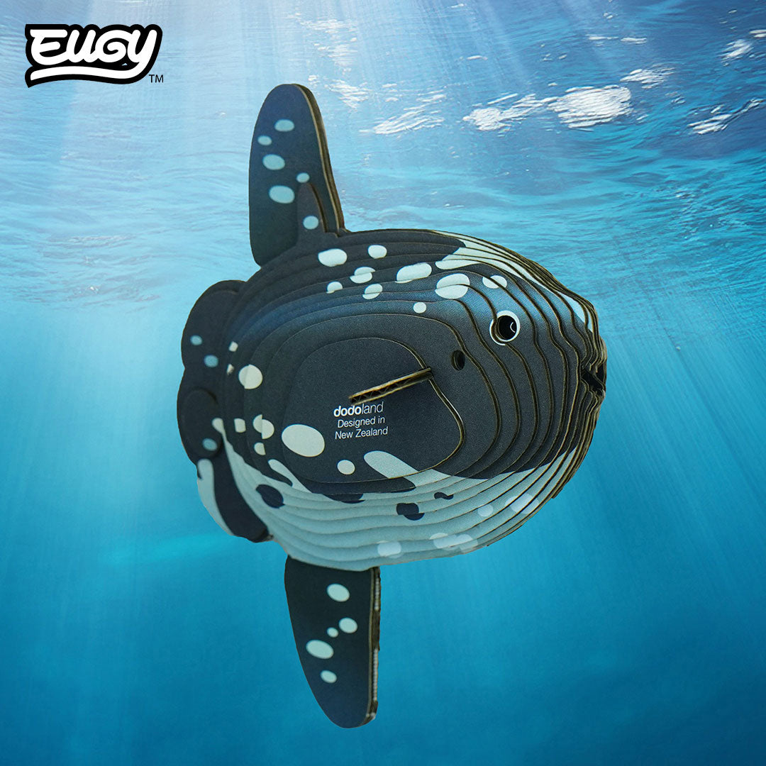 132 Ocean Sunfish