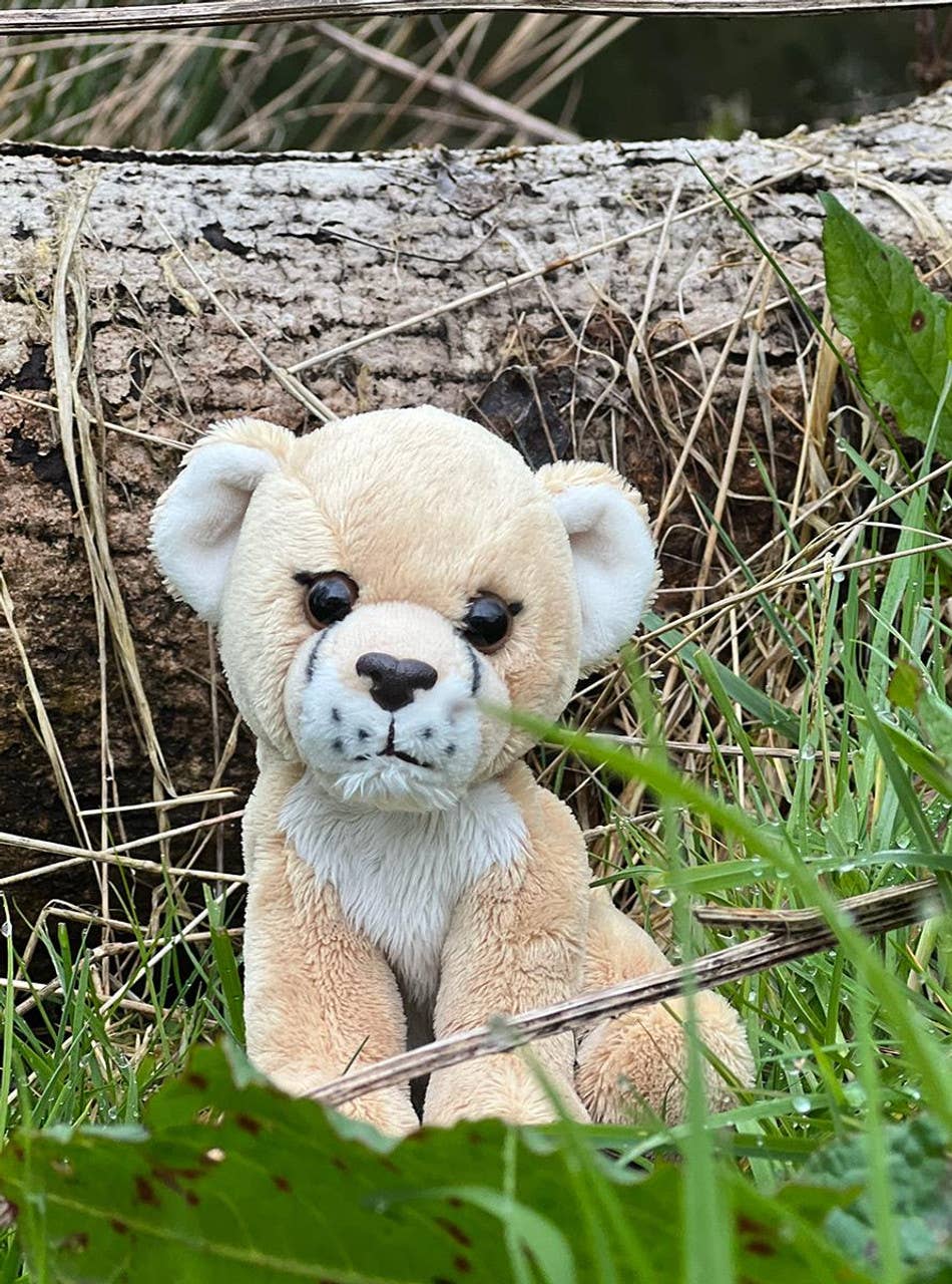 Cuddle Cub Lioness Plush Toy