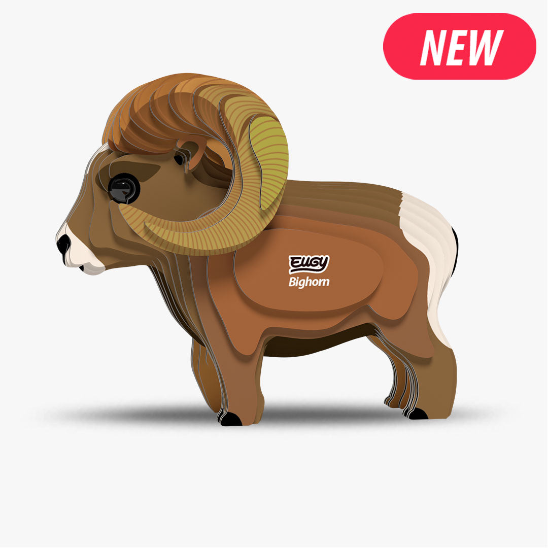 Mouflon des Rocheuses
