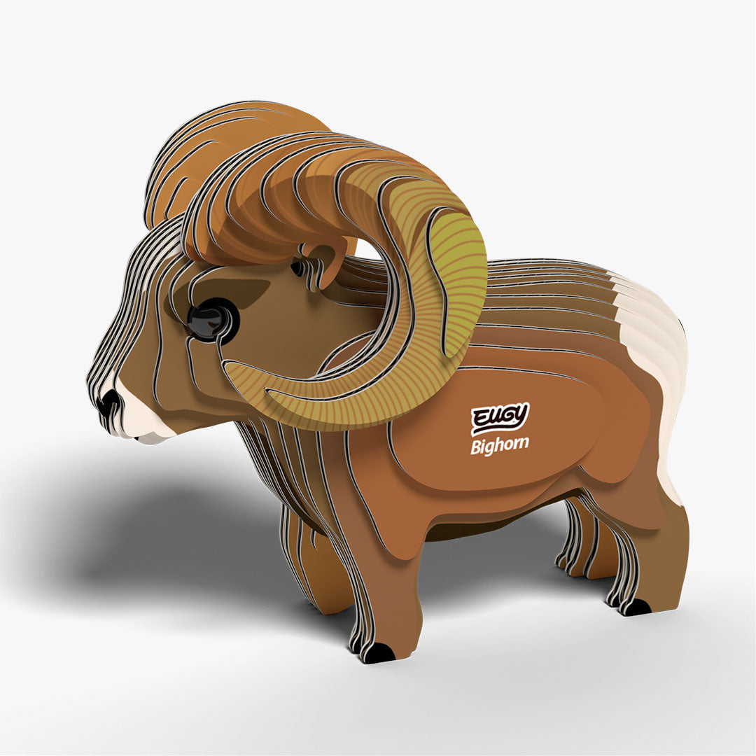 145 Rocky Mountain Bighorn Sheep