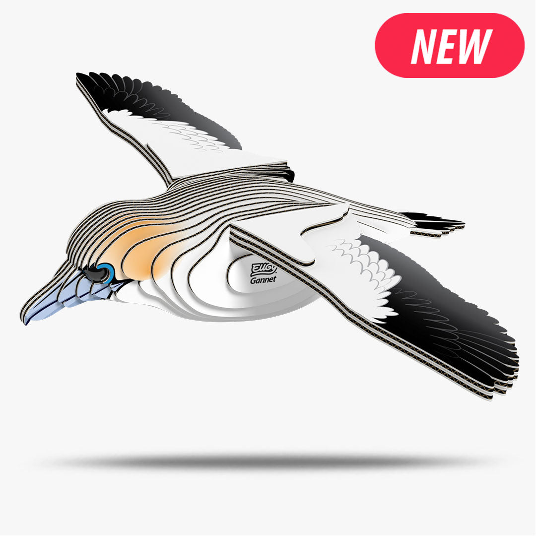 Maquette 3D EUGY 148 Fou de Bassan – vue 1