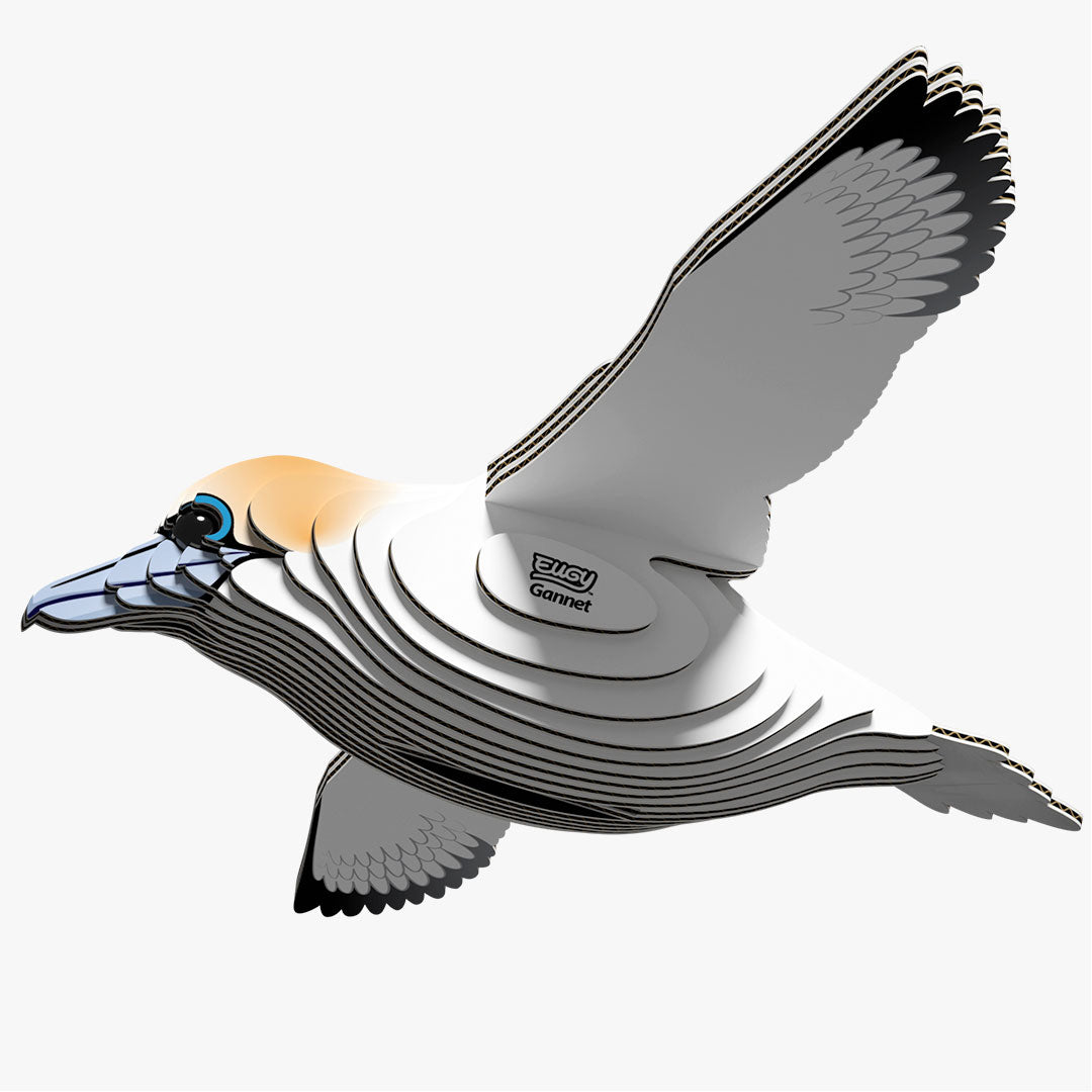 Maquette 3D EUGY 148 Fou de Bassan – vue 2