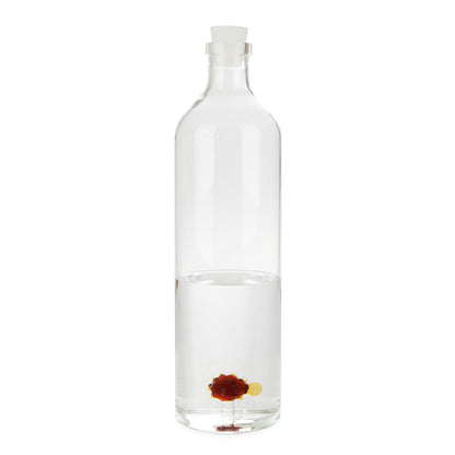 Bouteille Atlantis Globefish