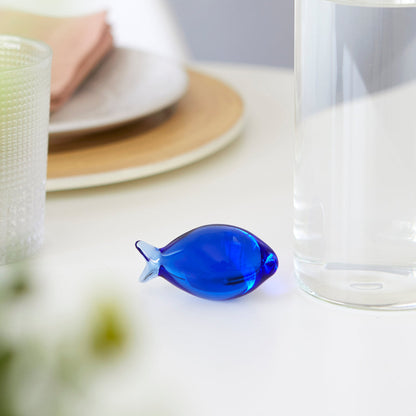 Bottle Gourami