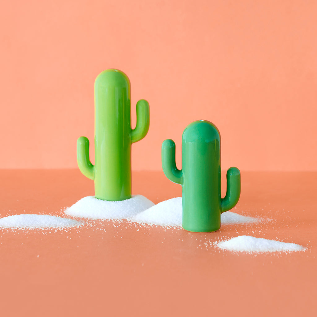 Salière et poivrière Cactus – Balvi