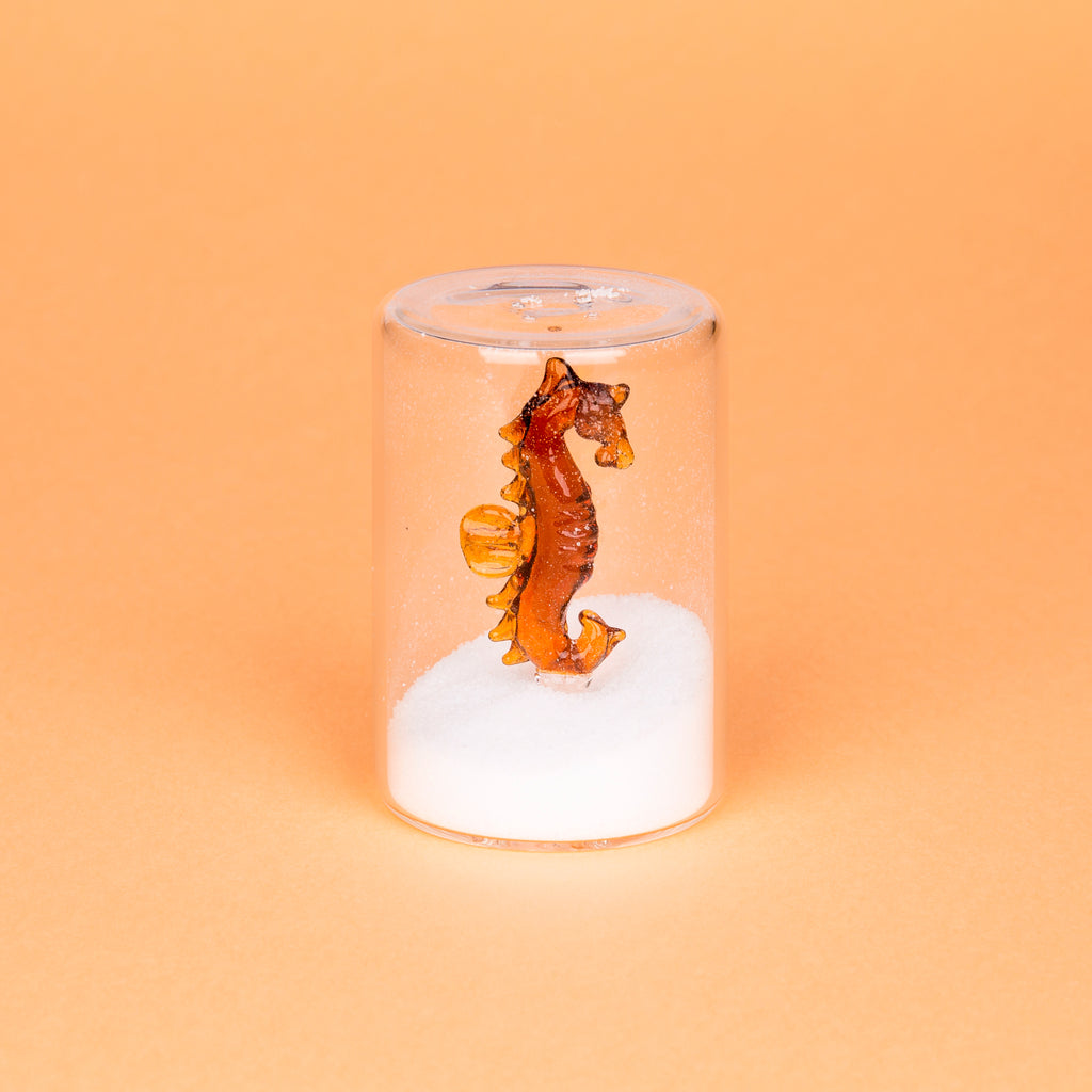 Salière Atlantis Seahorse