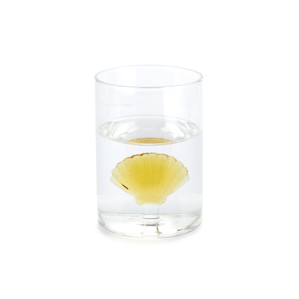 Verre Atlantis Shell