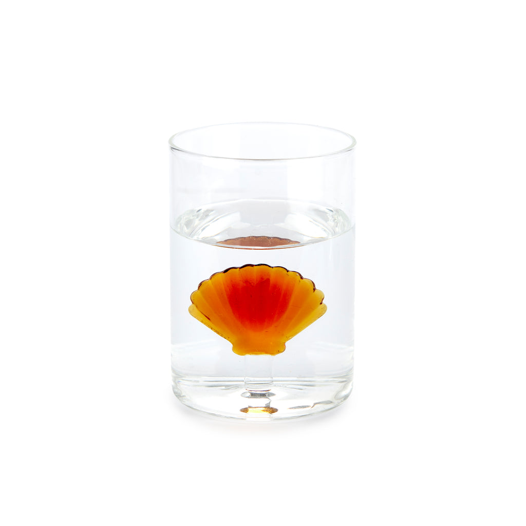 Verre Atlantis Shell