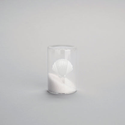 Salière Atlantis Shell
