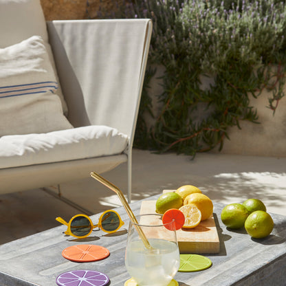 Fruit Party Coasters