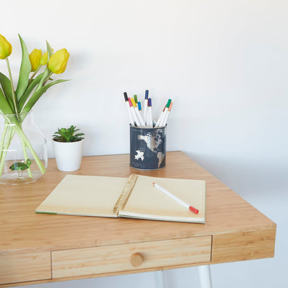 Globe Pencil Holder