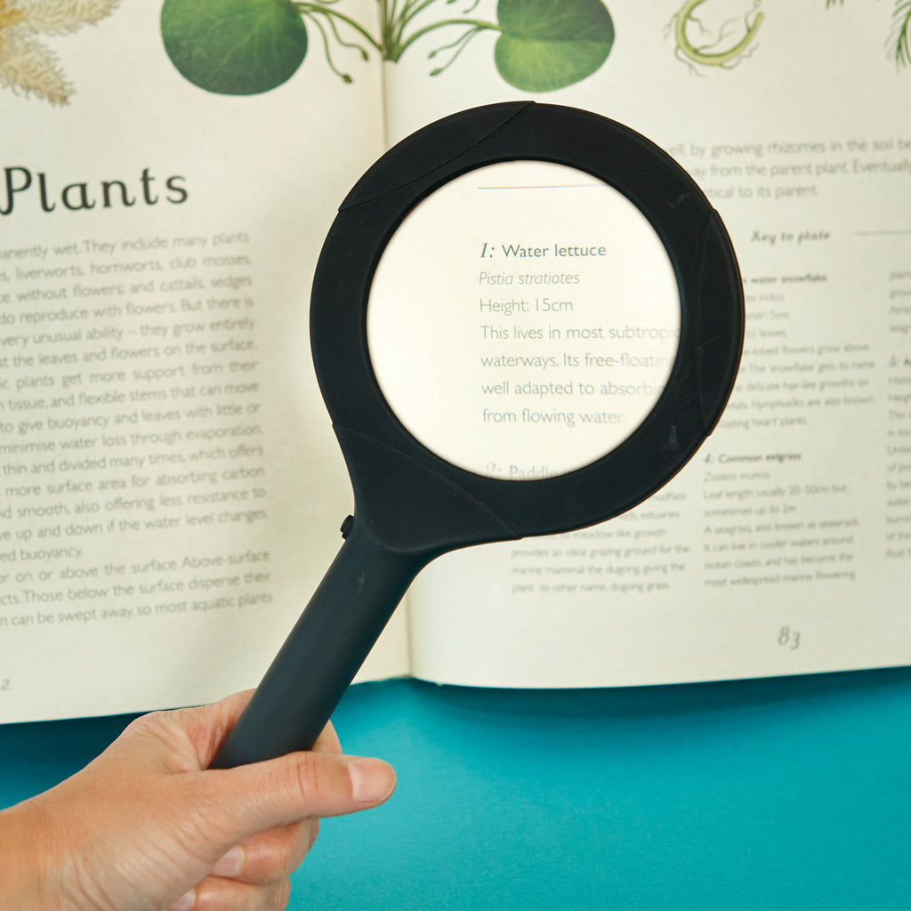 Loupe Magnifier