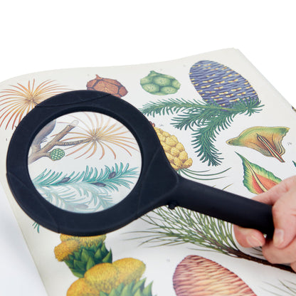Loupe Magnifier
