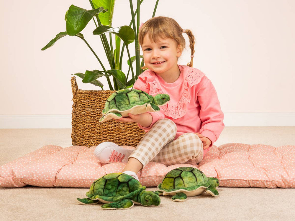 Peluche Tortue d'Eau – 23 cm
