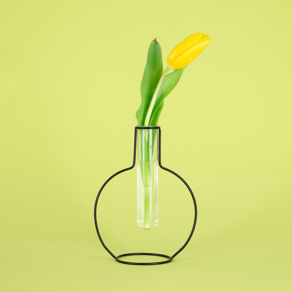 Vase with Rounded Silhouette