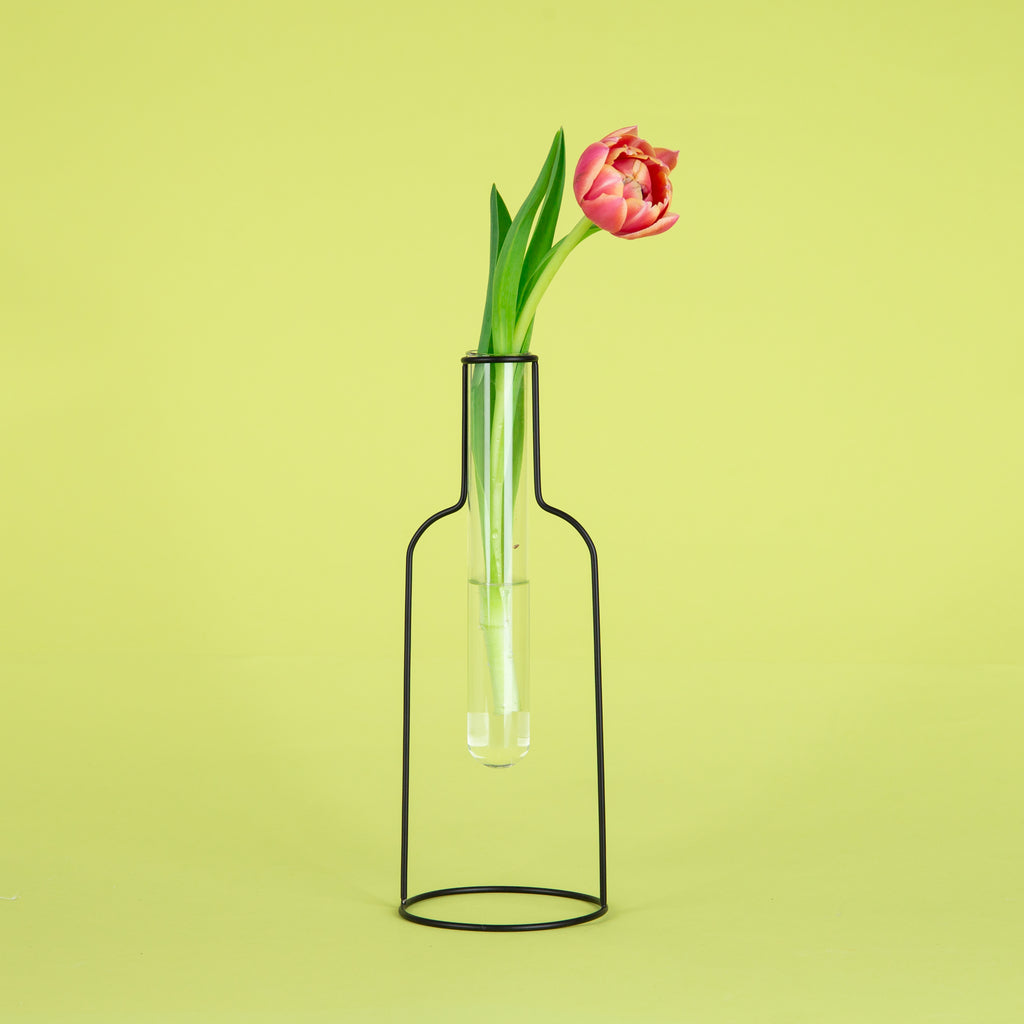 Vase Bottle Silhouette