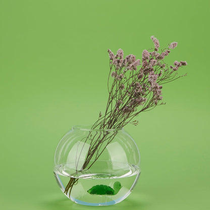 Vase Atlantis Turtle