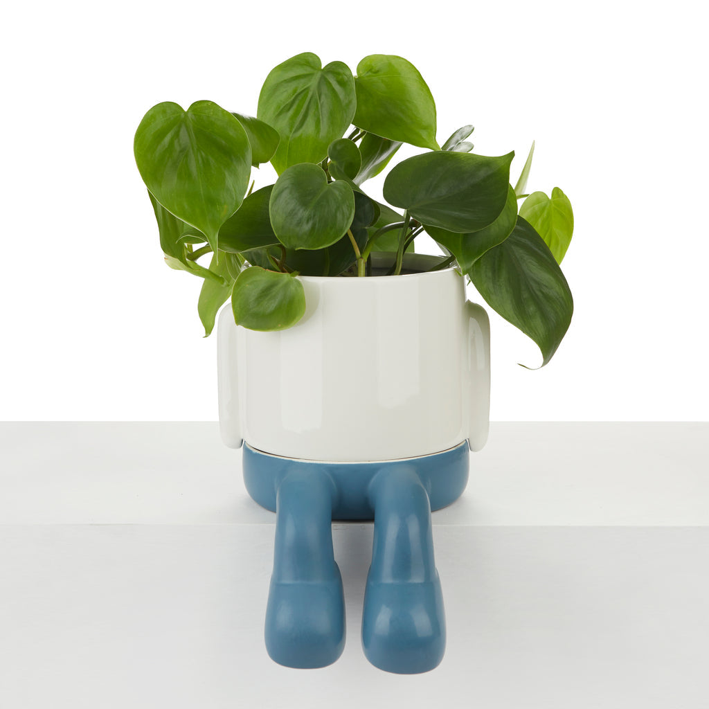 Mr. Dangly Plant Pot