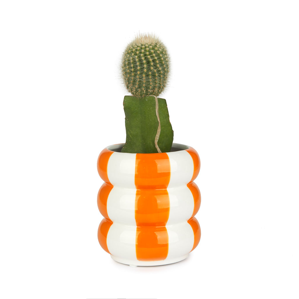 Floats Plant Pot