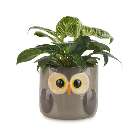 Pot de fleurs hibou